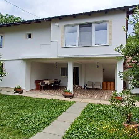Hostal Casa Pandrea Cîrţişoara Exterior foto