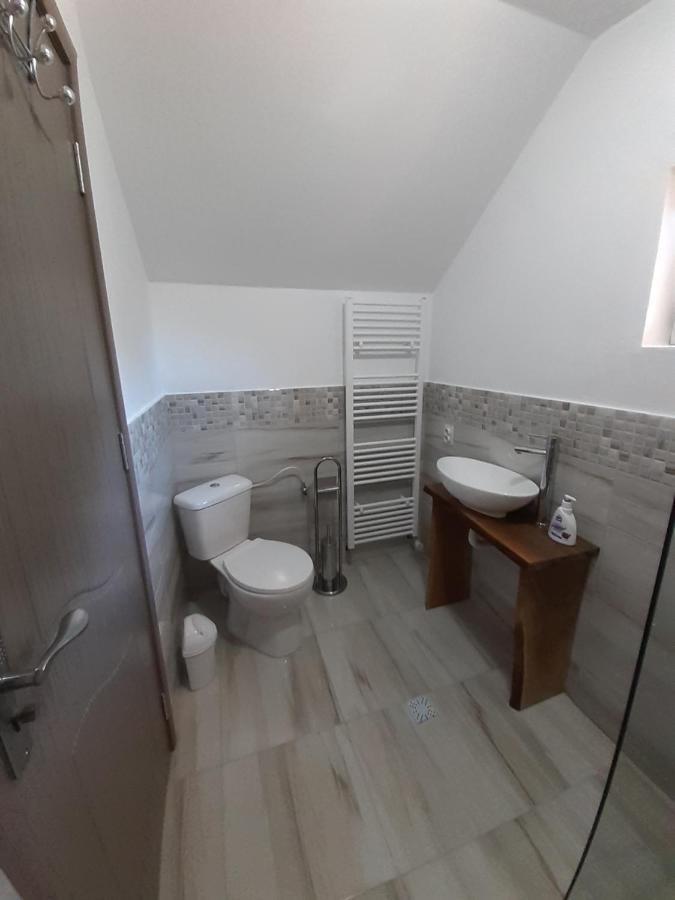 Hostal Casa Pandrea Cîrţişoara Exterior foto