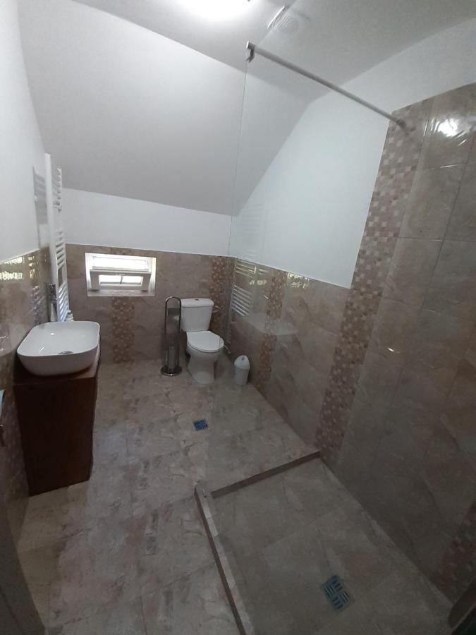 Hostal Casa Pandrea Cîrţişoara Exterior foto