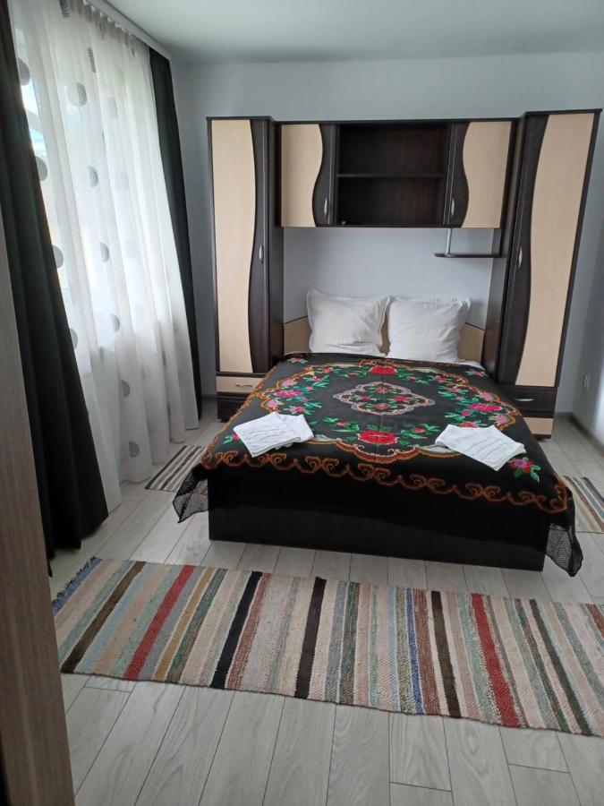 Hostal Casa Pandrea Cîrţişoara Exterior foto