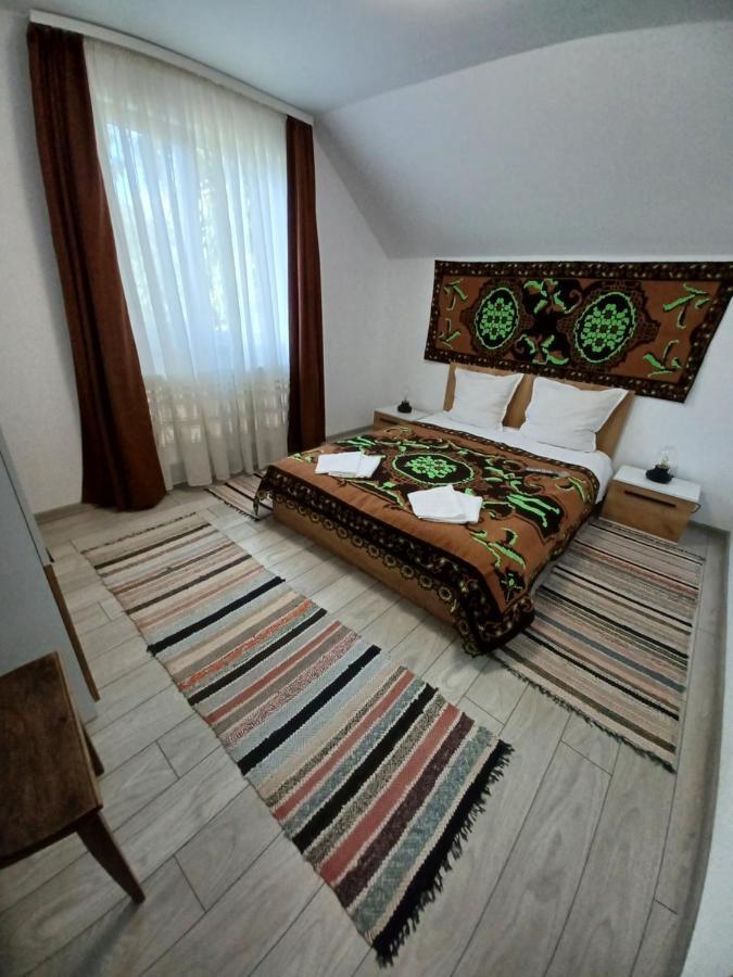 Hostal Casa Pandrea Cîrţişoara Exterior foto
