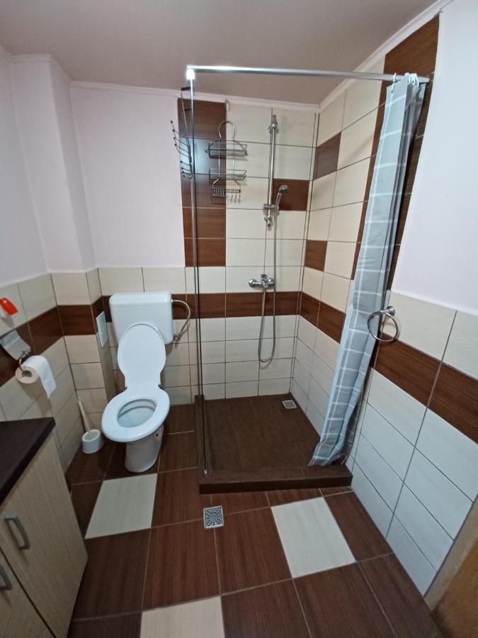 Hostal Casa Pandrea Cîrţişoara Exterior foto