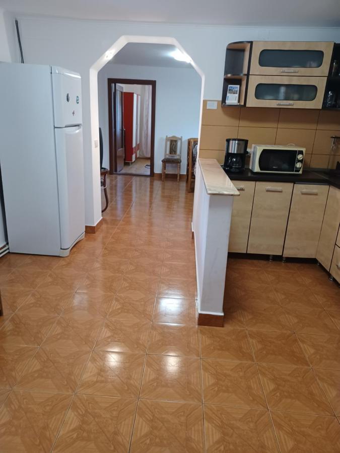 Hostal Casa Pandrea Cîrţişoara Exterior foto