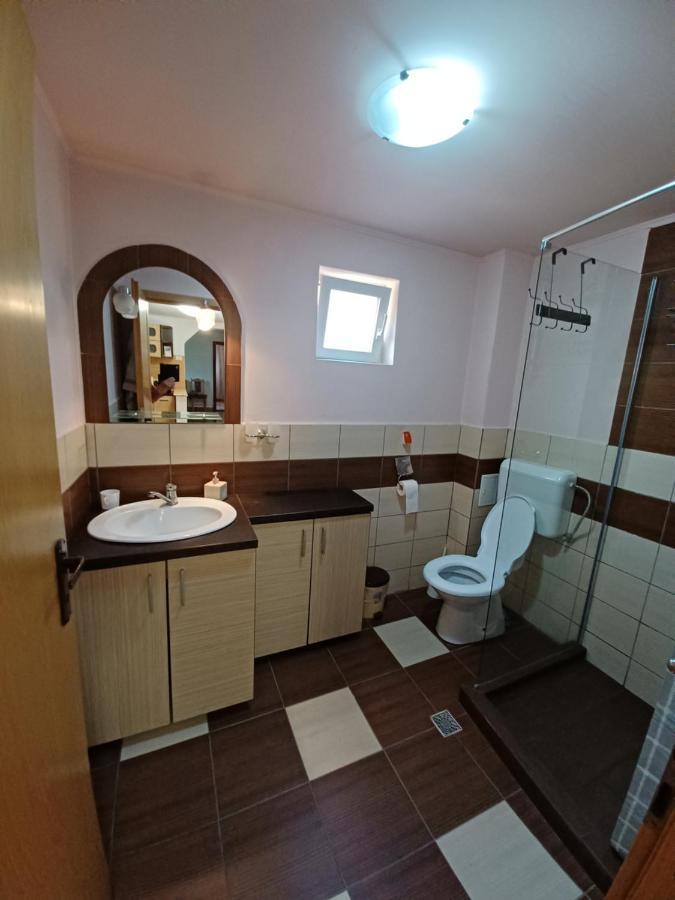 Hostal Casa Pandrea Cîrţişoara Exterior foto
