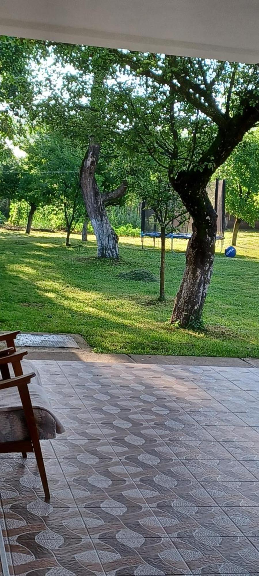 Hostal Casa Pandrea Cîrţişoara Exterior foto