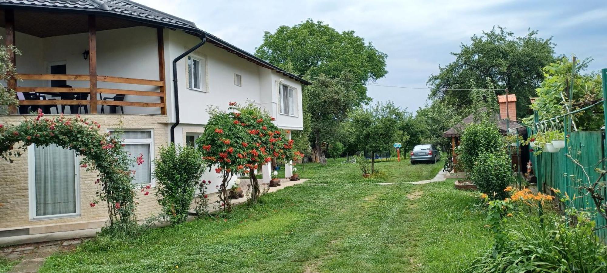 Hostal Casa Pandrea Cîrţişoara Exterior foto