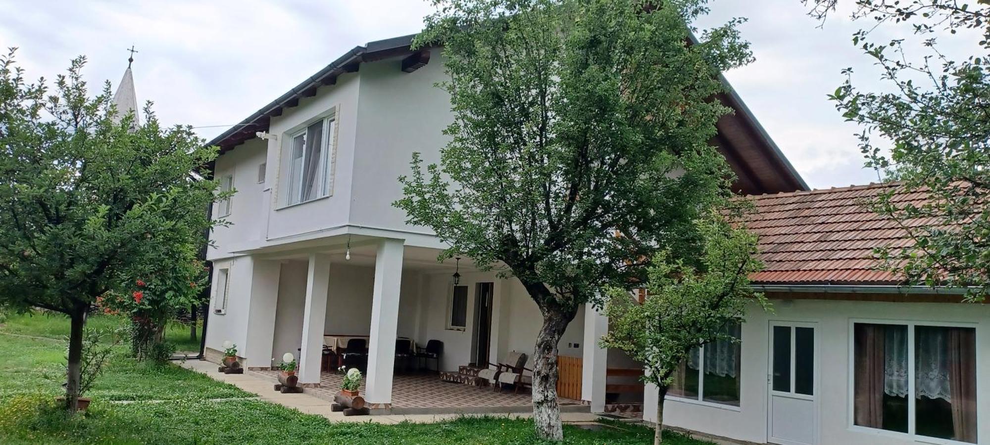 Hostal Casa Pandrea Cîrţişoara Exterior foto